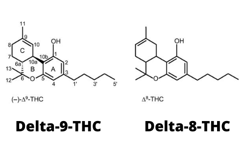 Delta 8 vs Delta 9 (aka Cannabis, Weed, etc)